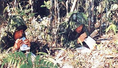 国产野战在线,在线战场风云再起  第2张