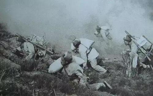 国产野战在线,在线战场风云再起  第3张