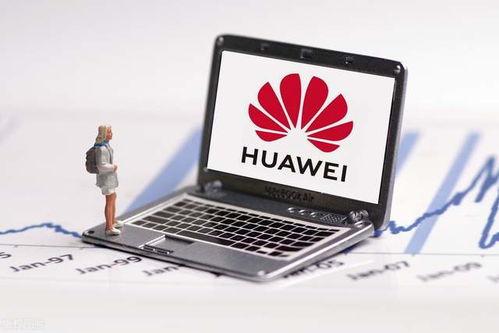 国产福利1000 第3张 国产福利1000 第3张