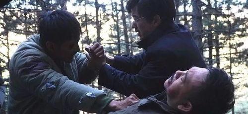 国产自乱,自力更生铸就辉煌  第3张