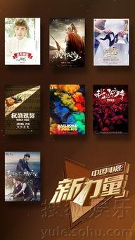 国产片精品,光影中的民族骄傲与时代印记  第2张