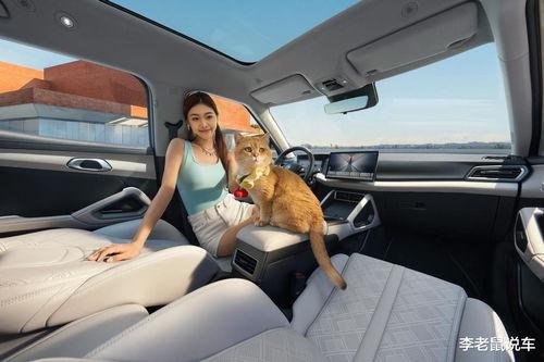 国产A级毛,匠心独运，引领时尚潮流  第2张