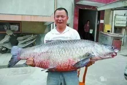 青鱼视频国产在线,国产在线影视盛宴，尽享视听盛宴