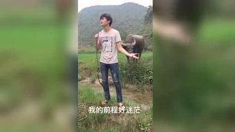 国产福利视频抄底视频,揭秘抄底策略，财富增长新篇章  第2张