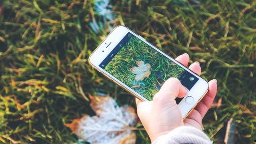 手机看片国产永久福利,国产福利大片，尽在掌握  第3张