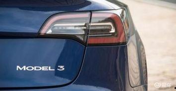 国产免,免生成技术引领未来创新浪潮 第3张 国产免,免生成技术引领未来创新浪潮 第3张